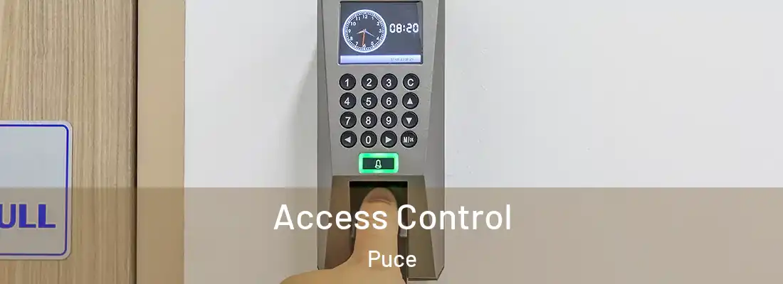 Access Control Puce