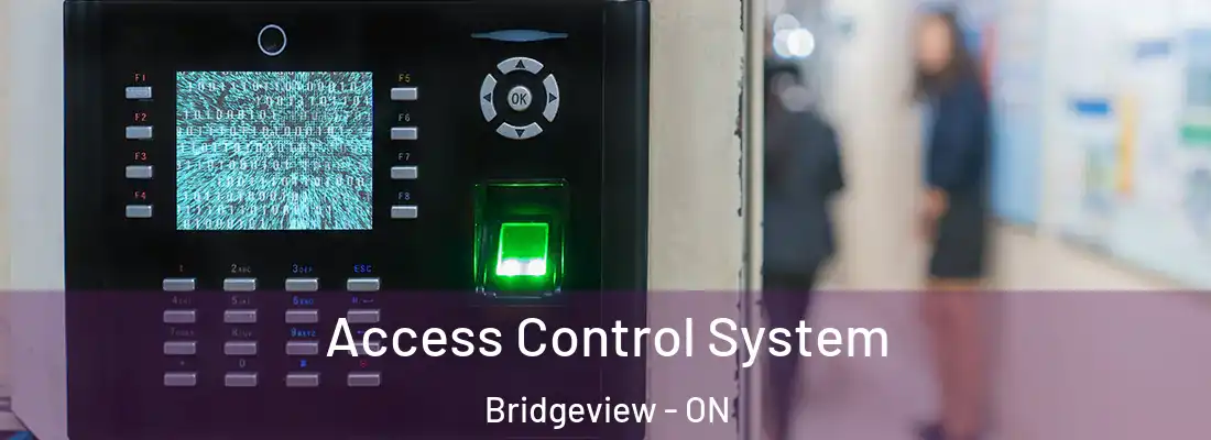  Access Control System Bridgeview - ON