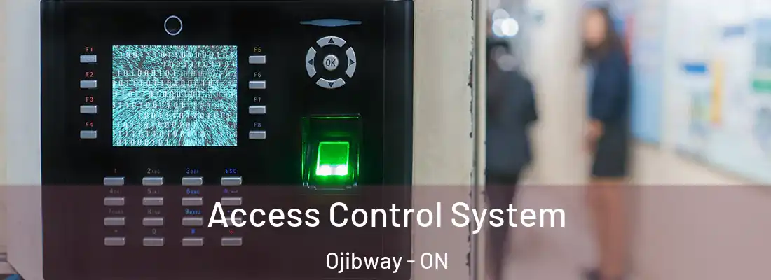  Access Control System Ojibway - ON