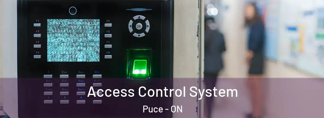  Access Control System Puce - ON