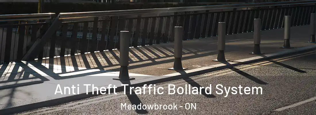  Anti Theft Traffic Bollard System Meadowbrook - ON