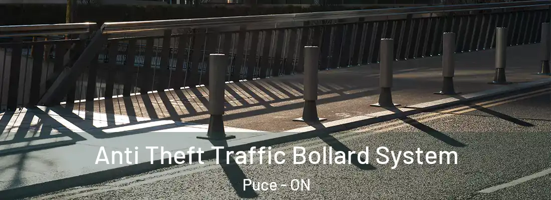 Anti Theft Traffic Bollard System Puce - ON