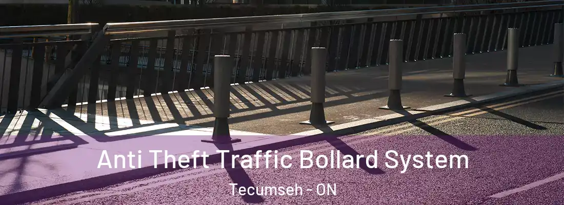  Anti Theft Traffic Bollard System Tecumseh - ON