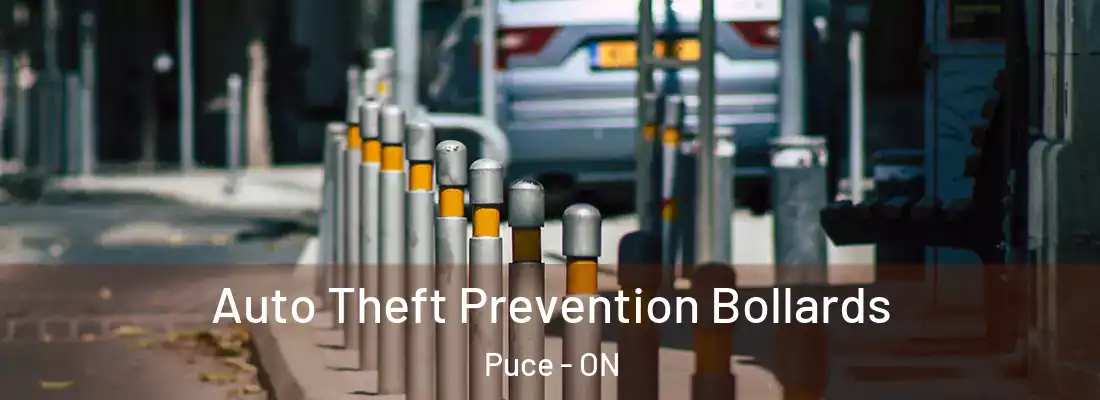  Auto Theft Prevention Bollards Puce - ON