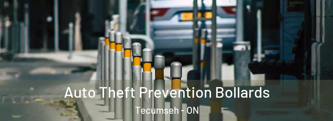  Auto Theft Prevention Bollards Tecumseh - ON