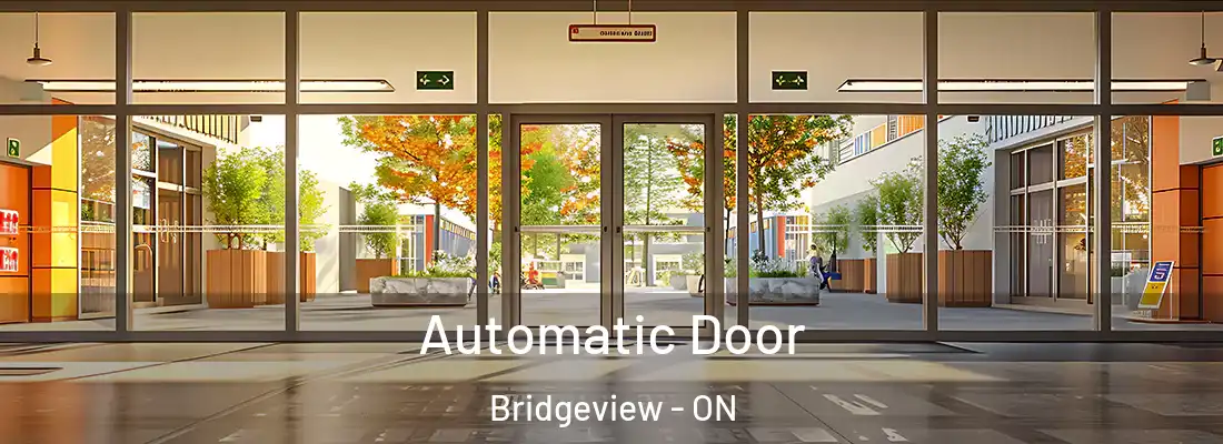  Automatic Door Bridgeview - ON