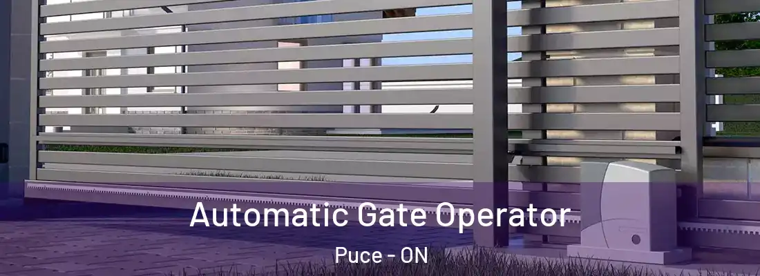  Automatic Gate Operator Puce - ON