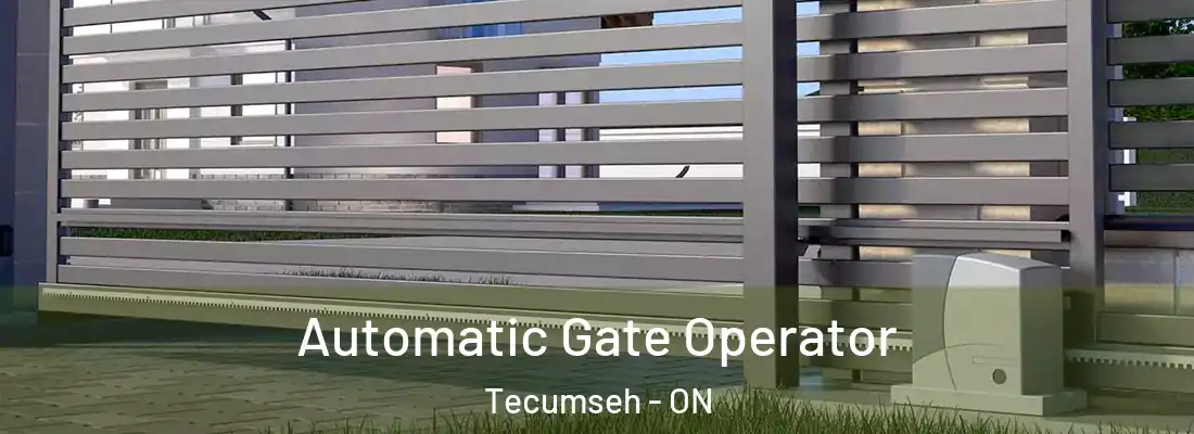  Automatic Gate Operator Tecumseh - ON