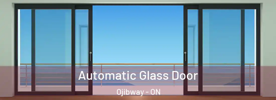 Automatic Glass Door Ojibway - ON