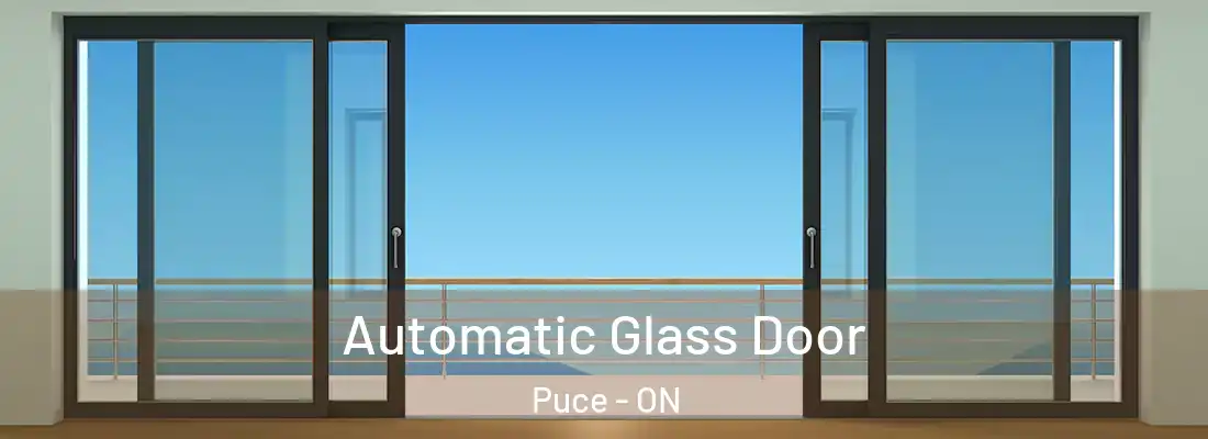  Automatic Glass Door Puce - ON