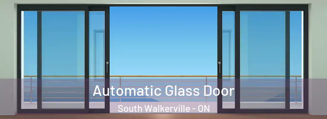  Automatic Glass Door South Walkerville - ON