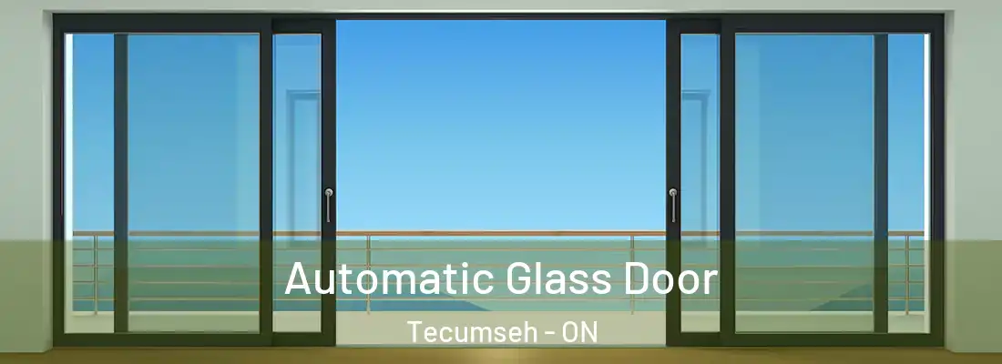 Automatic Glass Door Tecumseh - ON