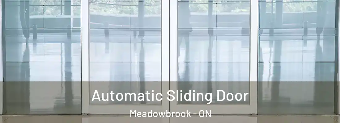  Automatic Sliding Door Meadowbrook - ON
