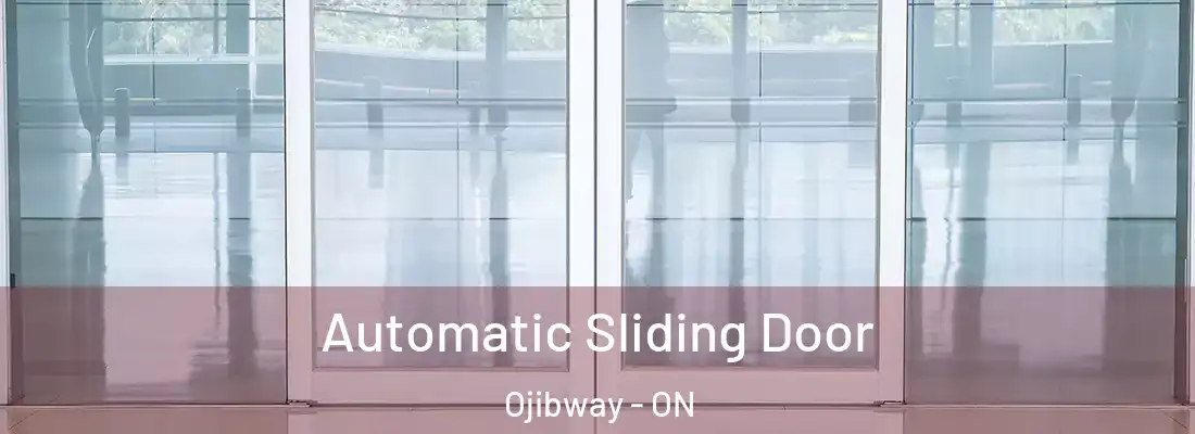  Automatic Sliding Door Ojibway - ON