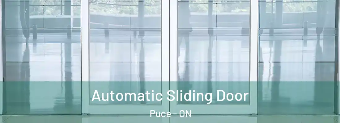  Automatic Sliding Door Puce - ON