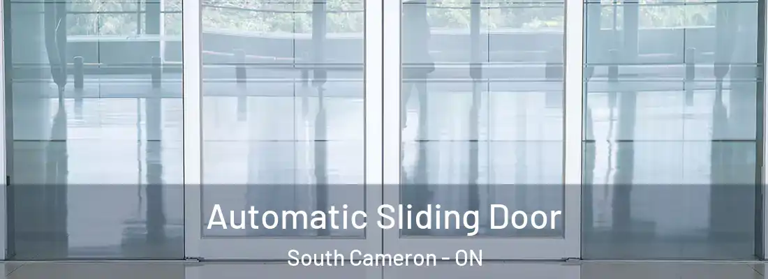  Automatic Sliding Door South Cameron - ON