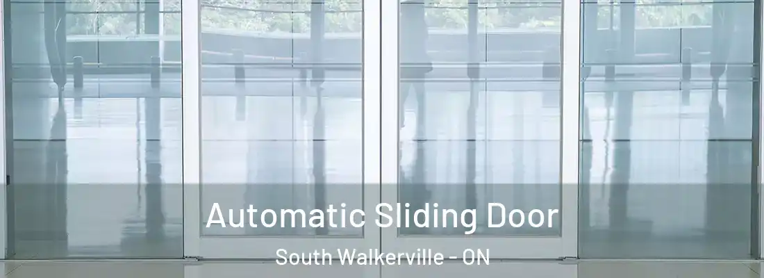  Automatic Sliding Door South Walkerville - ON