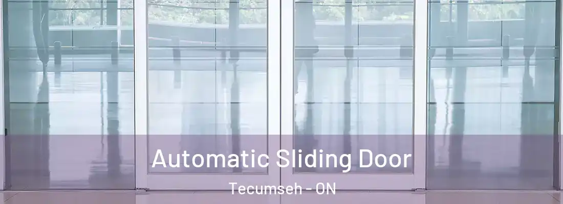  Automatic Sliding Door Tecumseh - ON