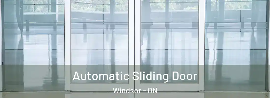  Automatic Sliding Door Windsor - ON