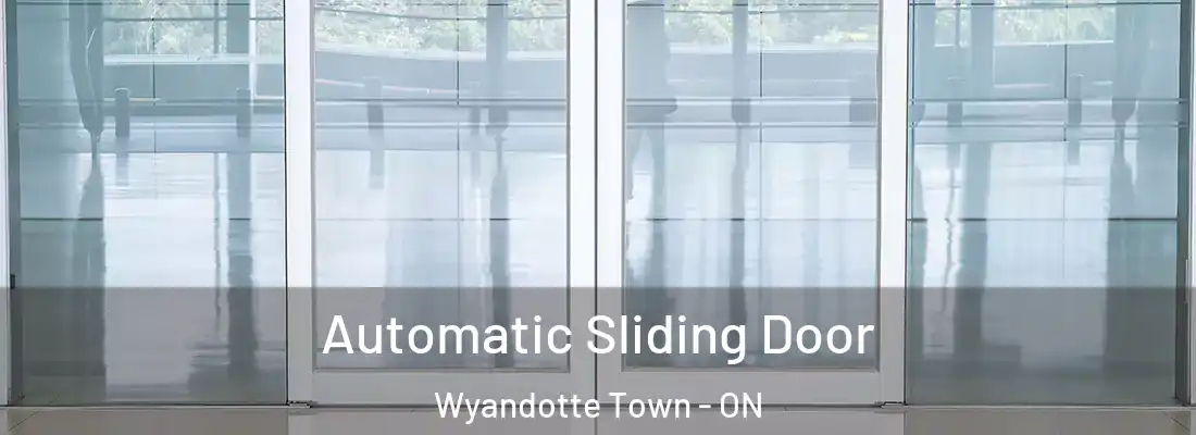  Automatic Sliding Door Wyandotte Town - ON