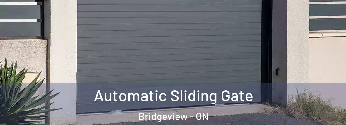  Automatic Sliding Gate Bridgeview - ON