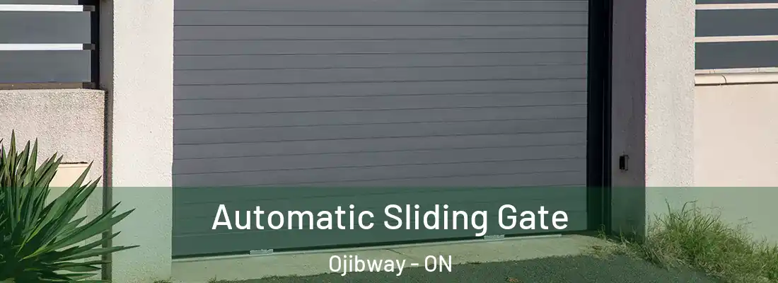 Automatic Sliding Gate Ojibway - ON