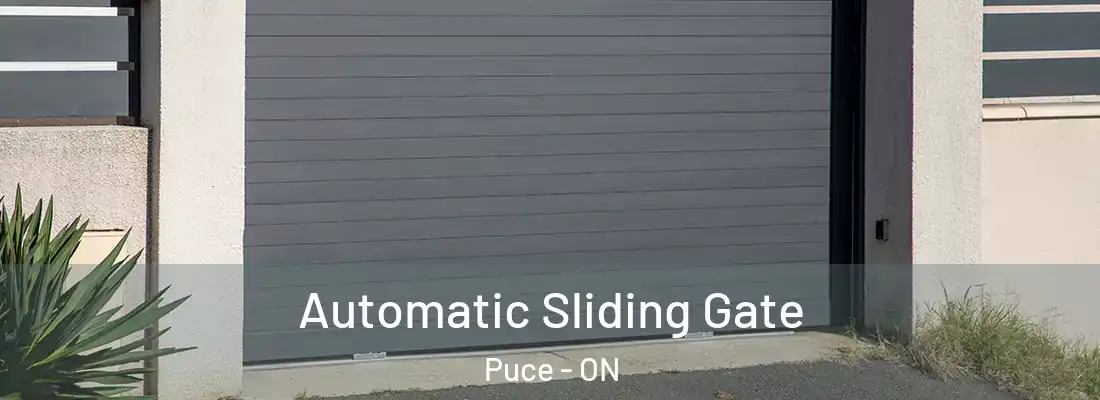 Automatic Sliding Gate Puce - ON