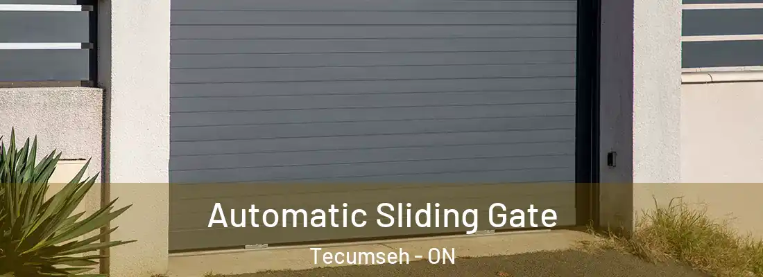  Automatic Sliding Gate Tecumseh - ON