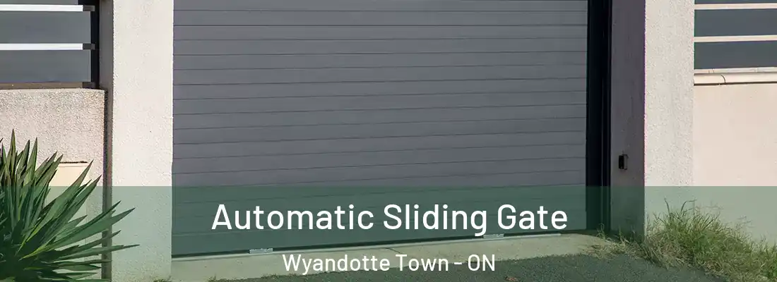  Automatic Sliding Gate Wyandotte Town - ON