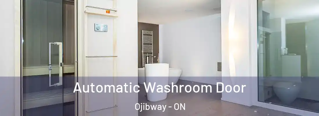  Automatic Washroom Door Ojibway - ON