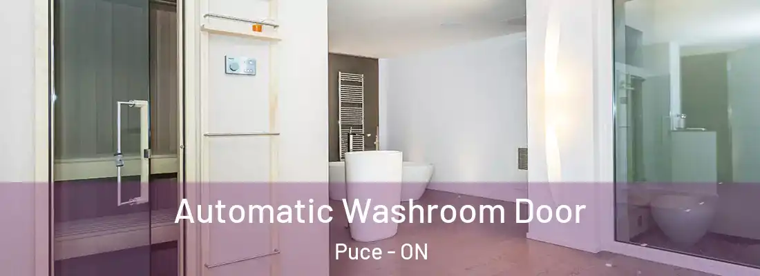  Automatic Washroom Door Puce - ON