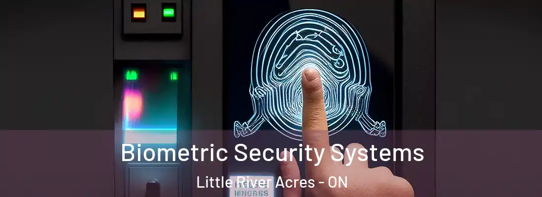  Biometric Security Systems Little River Acres - ON