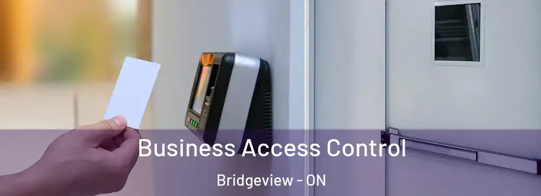 Business Access Control Bridgeview - ON