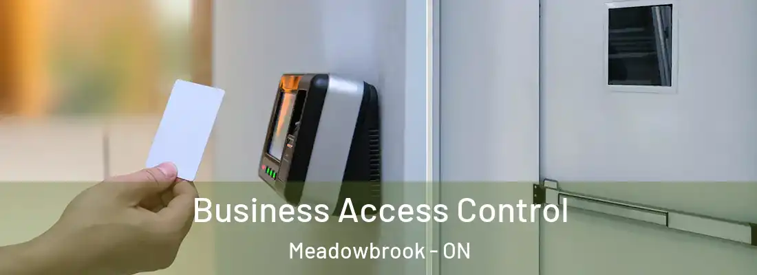  Business Access Control Meadowbrook - ON