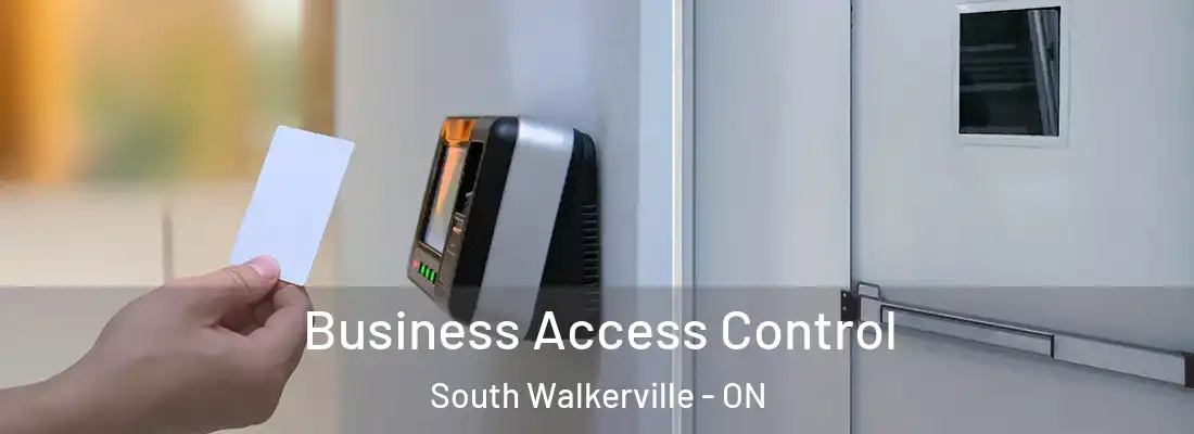  Business Access Control South Walkerville - ON