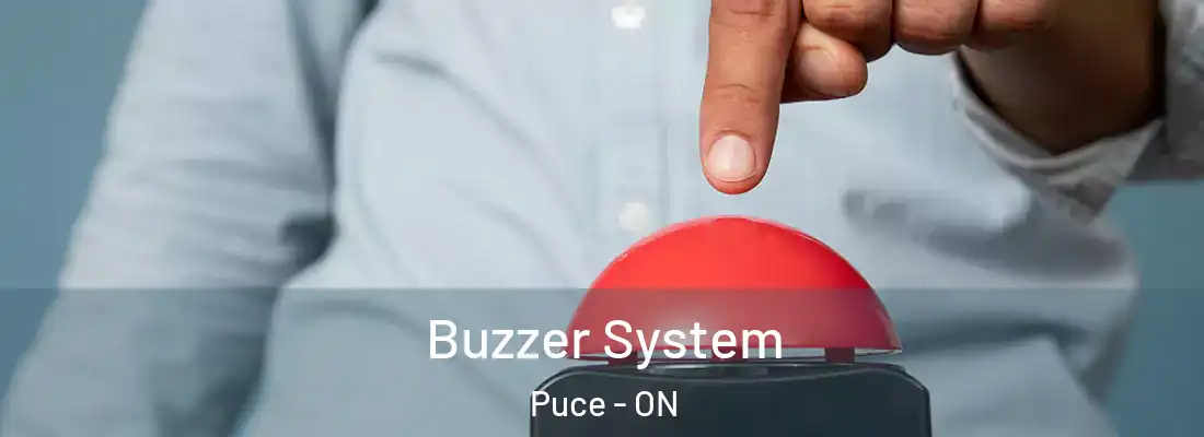  Buzzer System Puce - ON