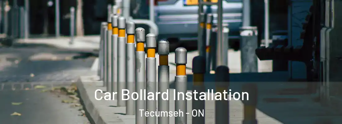  Car Bollard Installation Tecumseh - ON