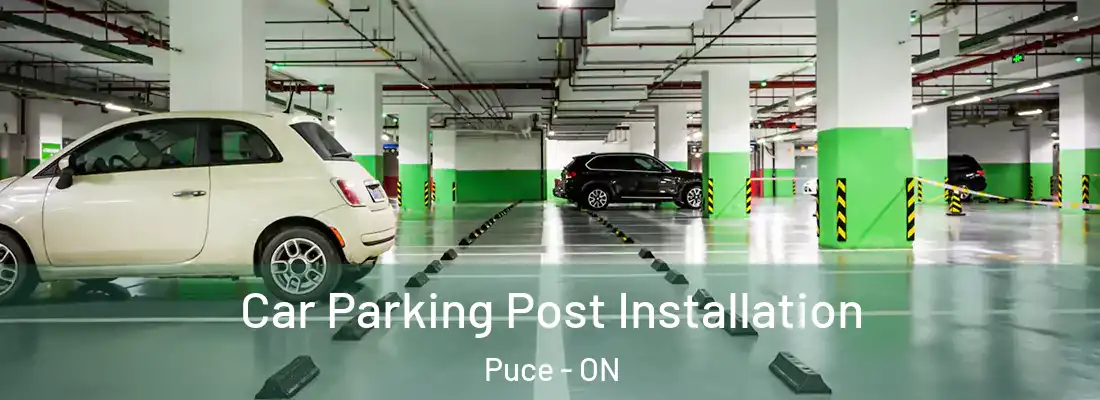  Car Parking Post Installation Puce - ON