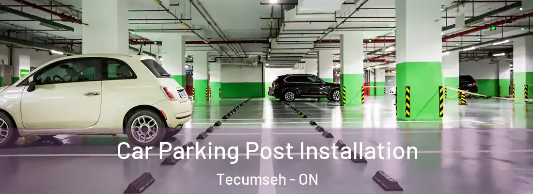  Car Parking Post Installation Tecumseh - ON