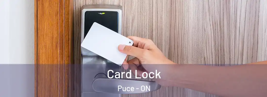 Card Lock Puce - ON