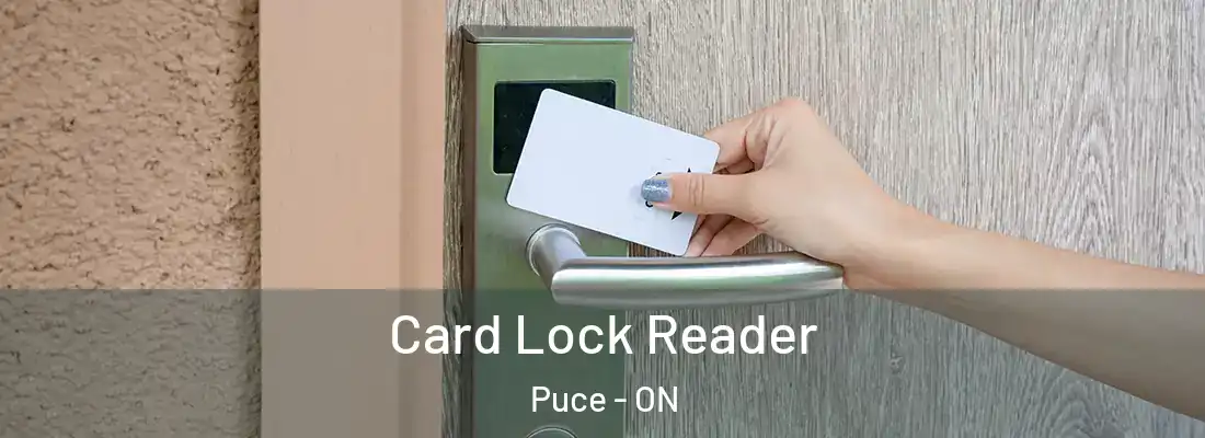  Card Lock Reader Puce - ON