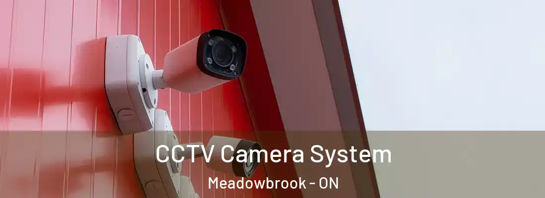  CCTV Camera System Meadowbrook - ON