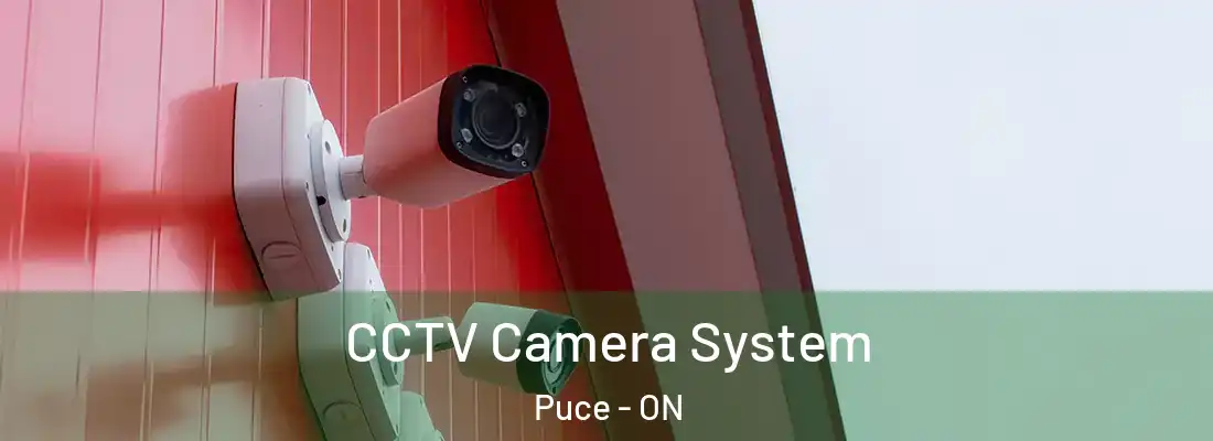 CCTV Camera System Puce - ON