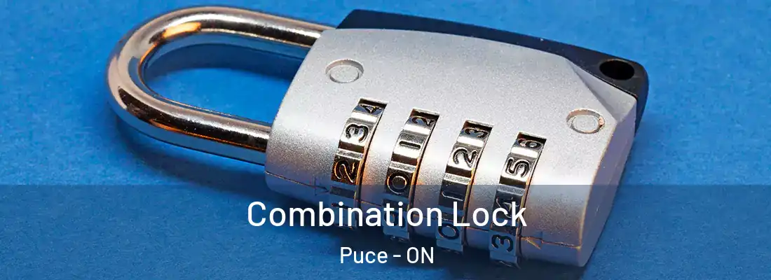  Combination Lock Puce - ON