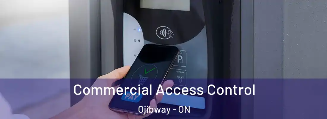  Commercial Access Control Ojibway - ON