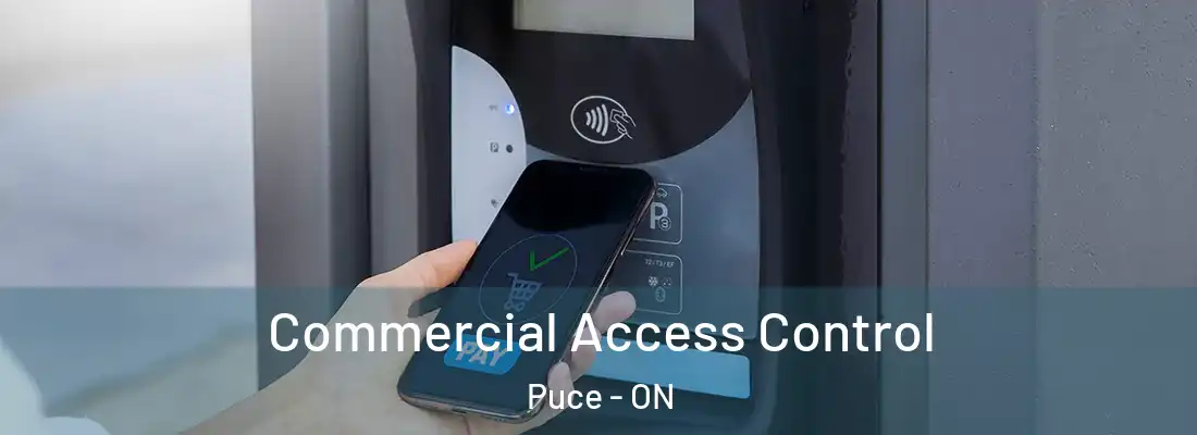  Commercial Access Control Puce - ON