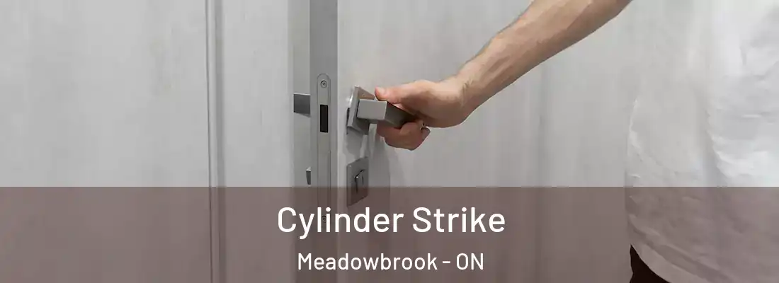  Cylinder Strike Meadowbrook - ON