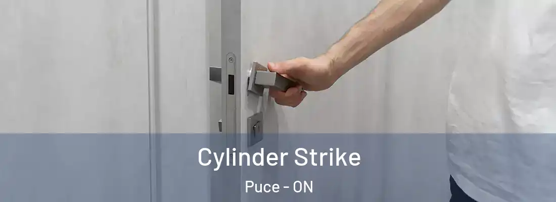  Cylinder Strike Puce - ON