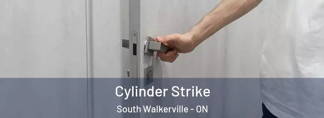  Cylinder Strike South Walkerville - ON