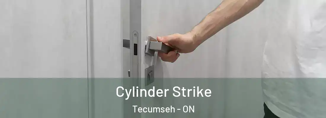  Cylinder Strike Tecumseh - ON